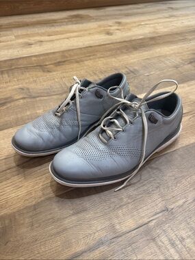 Nike Air Jordan Light Gray ADG 4 Golf Shoes